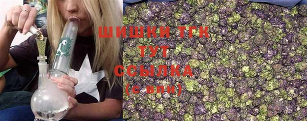 шишки Нягань
