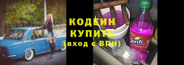 индика Абаза
