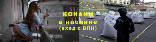 шишки Нягань