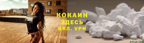 индика Абаза