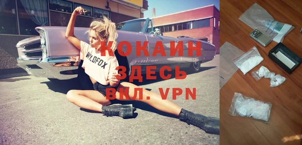 индика Абаза