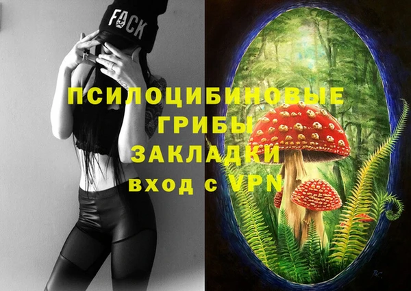 шишки Нягань
