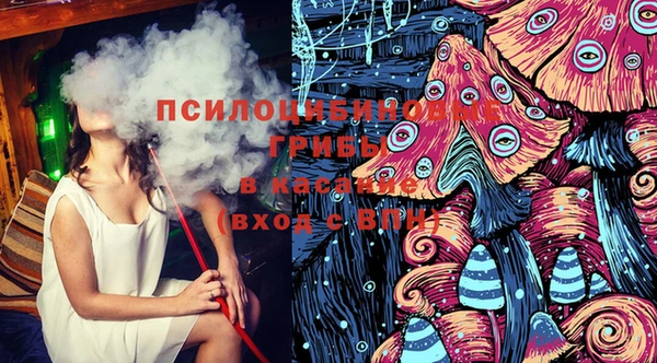 шишки Нягань