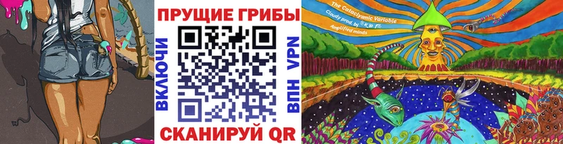 Галлюциногенные грибы Cubensis Моршанск